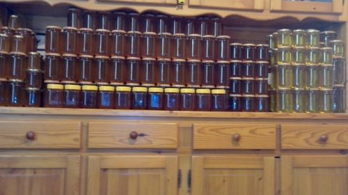 les débuts de mes abeilles en camargue